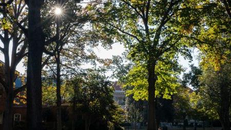 ag真人娱乐大学校园的广角镜头，阳光透过右上角的树木.